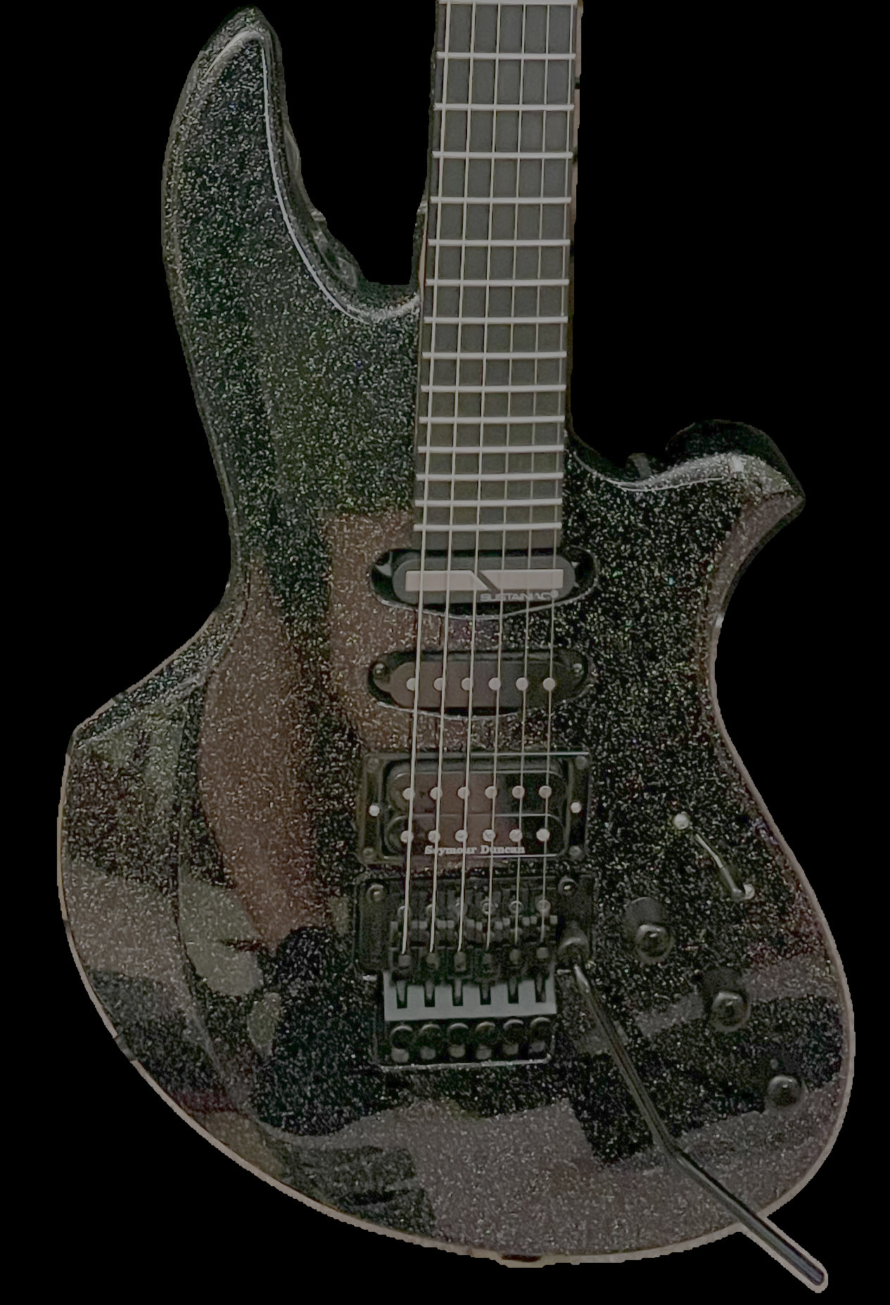 2020 D'Orto Sustainer Guitar